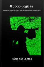 Q Socio-lógicas