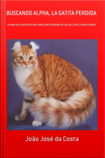 Buscando Alpha, La Gatita Perdida