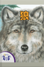 狼