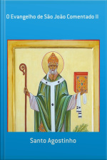 O Evangelho De São João Comentado Ii