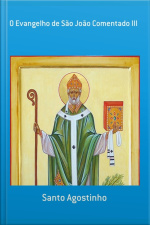 O Evangelho De São João Comentado Iii