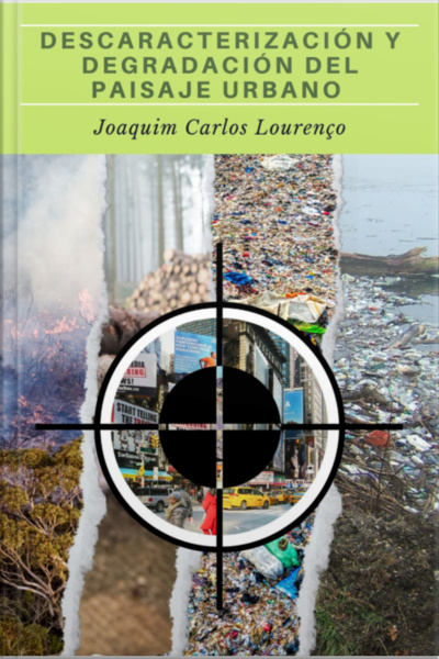 Descaracterización Y Degradación Del Paisaje Urbano