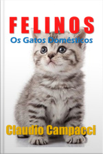 Os Felinos