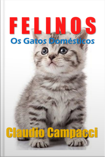 Os Felinos