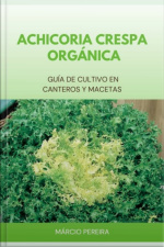 Achicoria Crespa Orgánica