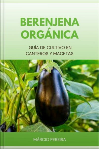 Berenjena Orgánica