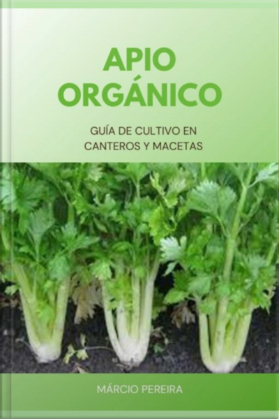 Apio Orgánico