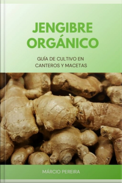 Jengibre Orgánico