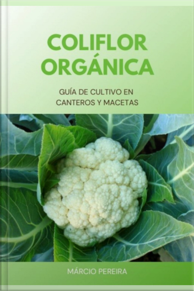 Coliflor Orgánica
