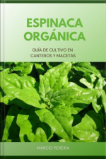 Espinaca Orgánica