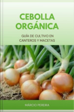 Cebolla Orgánica
