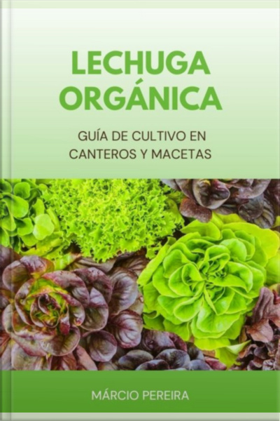 Lechuga Orgánica
