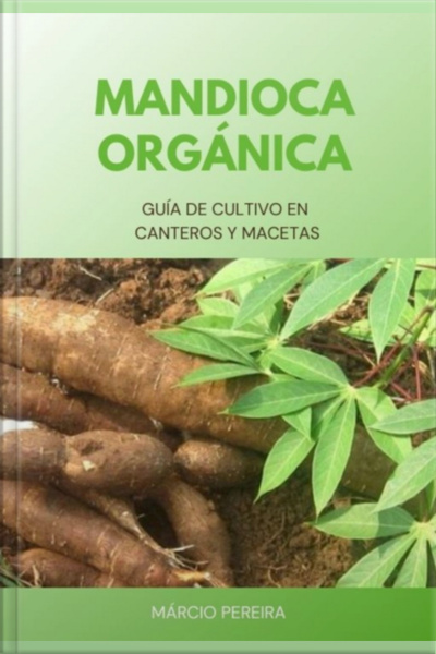 Mandioca Orgánica