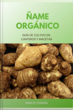 Ñame Orgánico