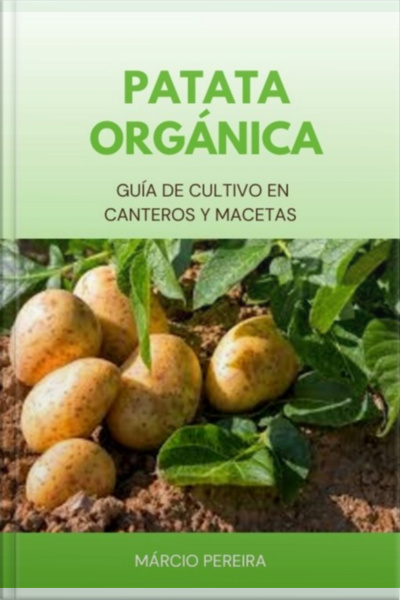 Patata Orgánica