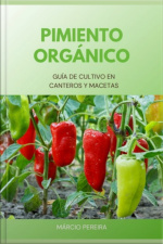Pimiento Orgánico