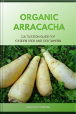 Organic Arracacha