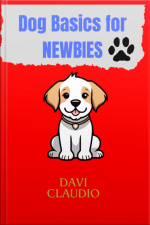 Dog Basics For Newbies