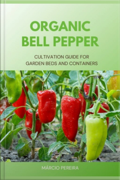 Organic Bell Pepper