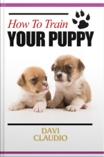 How To Train Your Puppy