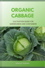 Organic Cabbage