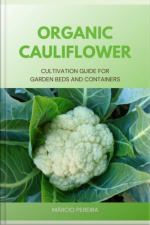 Organic Cauliflower