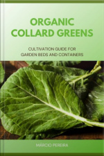Organic Collard Greens