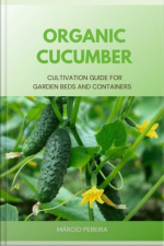 Organic Cucumber