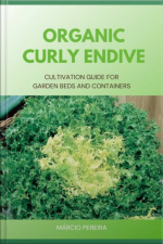Organic Curly Endive