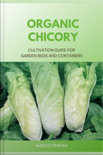 Organic Chicory