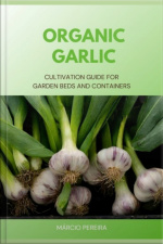 Organic Garlic