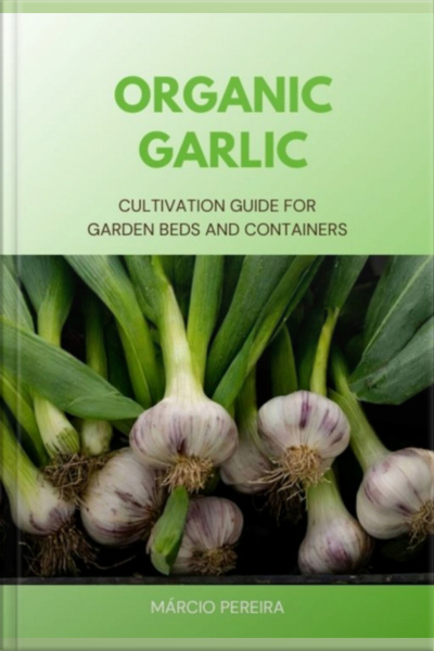 Organic Garlic