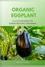 Organic Eggplant