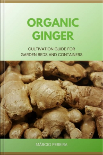 Organic Ginger