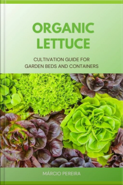 Organic Lettuce
