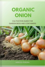 Organic Onion
