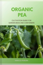 Organic Pea