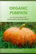 Organic Pumpkin