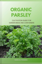 Organic Parsley