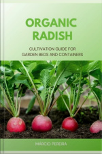 Organic Radish