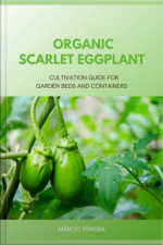 Organic Scarlet Eggplant