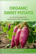 Organic Sweet Potato