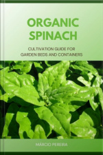 Organic Spinach