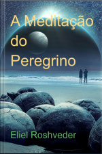 A Meditação Do Peregrino