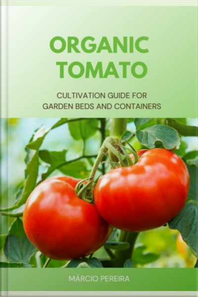Organic Tomato