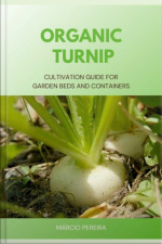 Organic Turnip