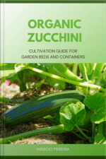 Organic Zucchini