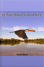 O Tucano Viajante
