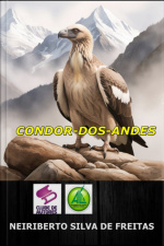 Condor-dos-andes