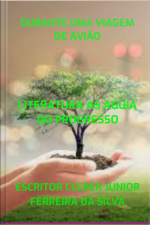 Durante Uma Viagem De Avião